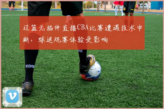 辽篮无插件直播CBA比赛遭遇技术中断，球迷观赛体验受影响