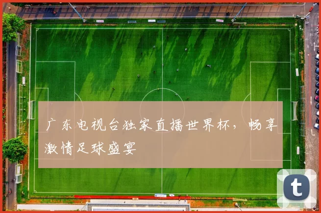 广东电视台独家直播世界杯，畅享激情足球盛宴