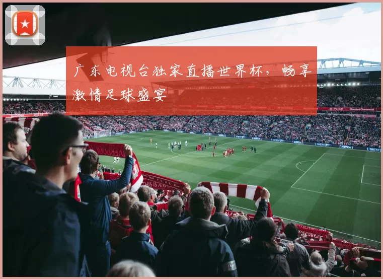 广东电视台独家直播世界杯，畅享激情足球盛宴