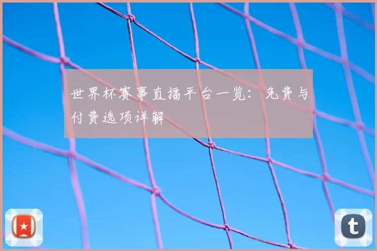 世界杯赛事直播平台一览:免费与付费选项详解