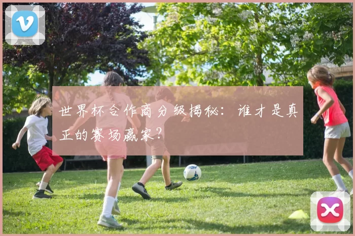 世界杯合作商分级揭秘:谁才是真正的赛场赢家?