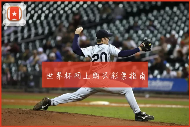 世界杯网上购买彩票指南