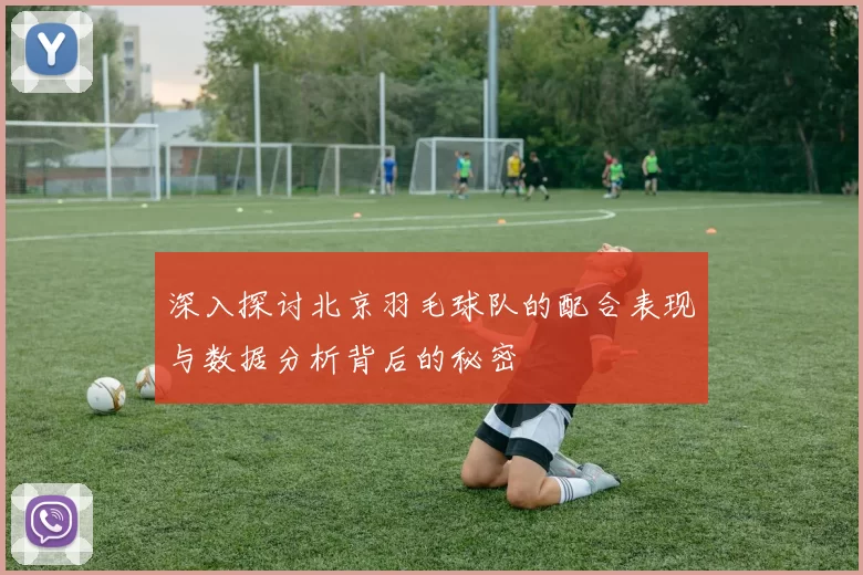 深入探讨北京羽毛球队的配合表现与数据分析背后的秘密