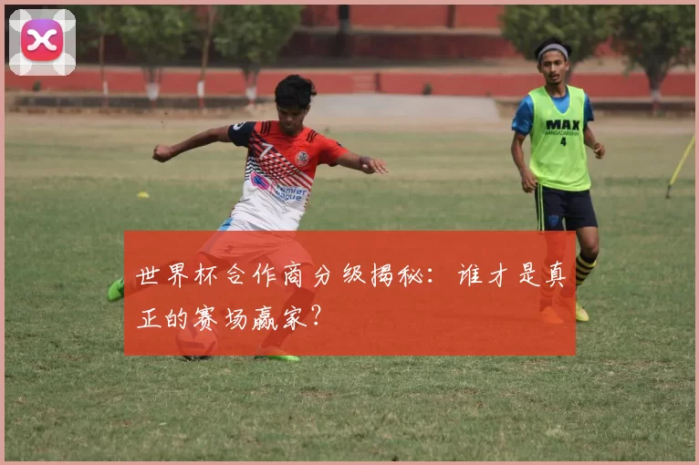 世界杯合作商分级揭秘:谁才是真正的赛场赢家?