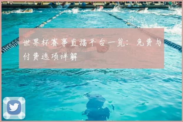 世界杯赛事直播平台一览:免费与付费选项详解