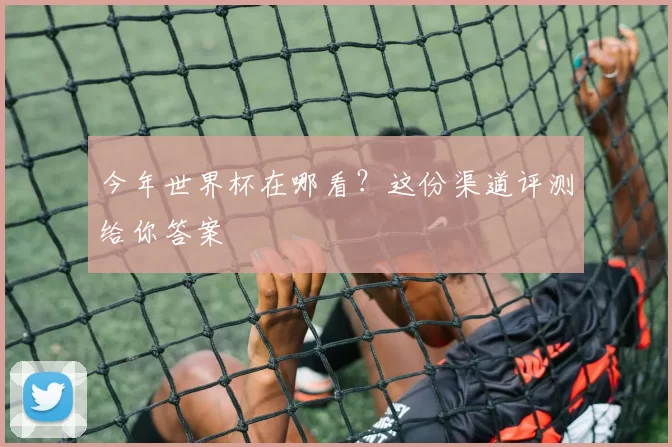 今年世界杯在哪看？这份渠道评测给你答案