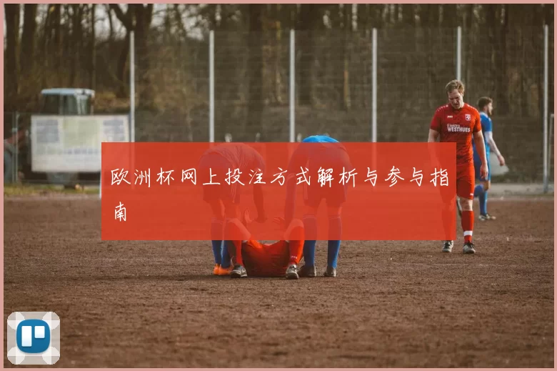 欧洲杯网上投注方式解析与参与指南