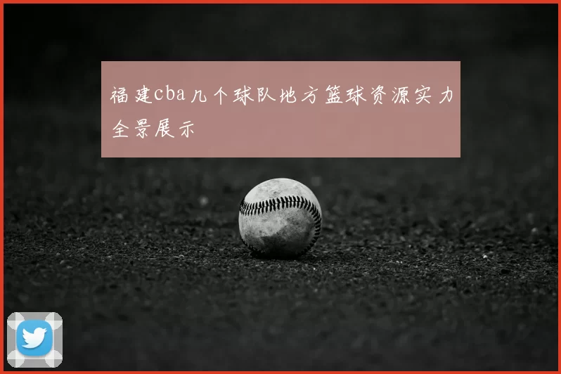 福建cba几个球队地方篮球资源实力全景展示