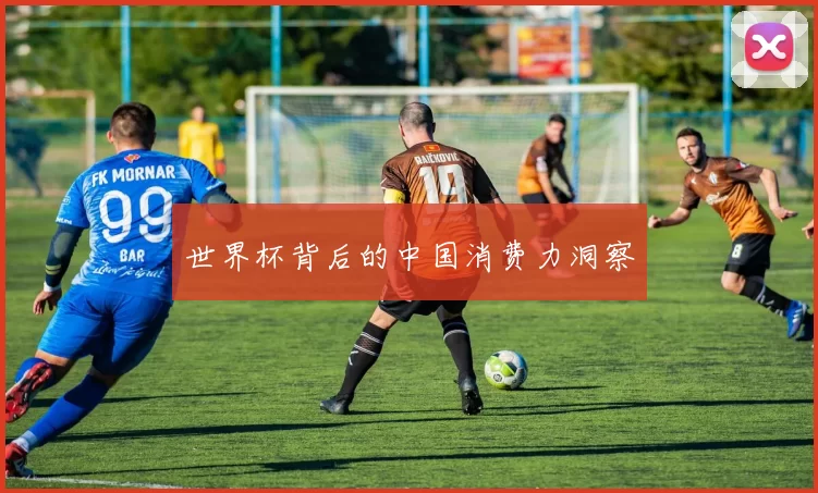 世界杯背后的中国消费力洞察