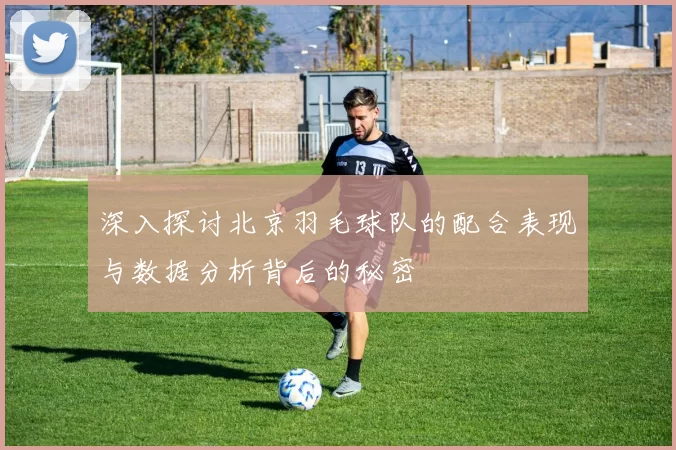深入探讨北京羽毛球队的配合表现与数据分析背后的秘密